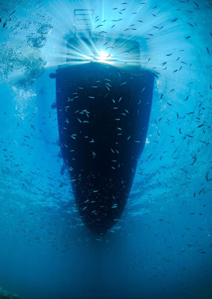 Passeio de mergulho com cilindro nas águas cristalinas de Cabo Frio