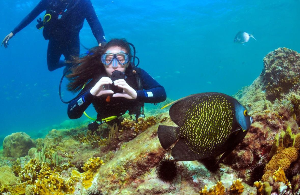 Mergulhadora observando peixe em meio aos corais de Arraial do Cabo