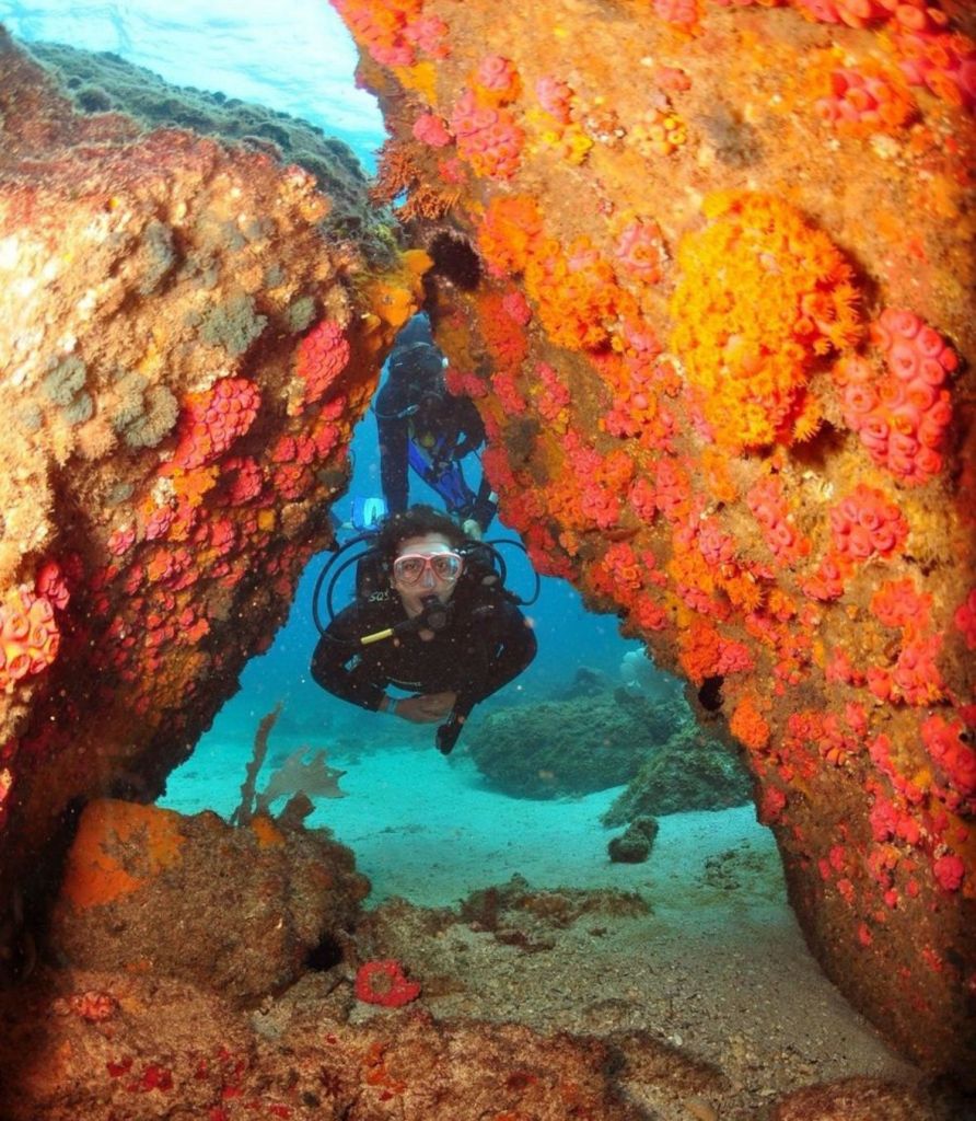 Mergulhador explorando gruta de corais coloridos em Arraial do Cabo