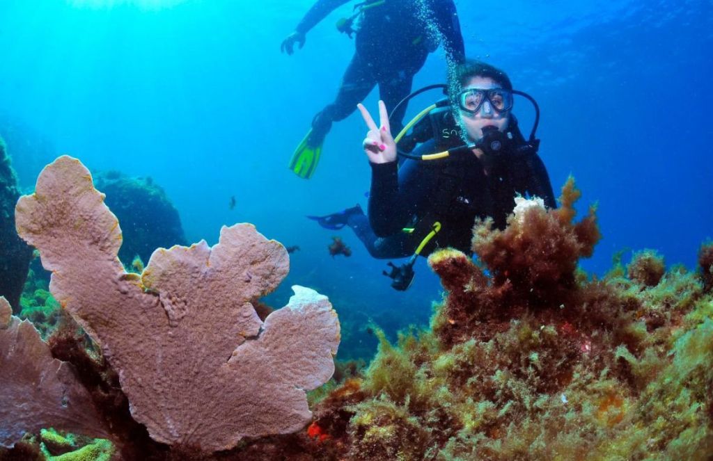 Mergulhadora fazendo sinal de paz no fundo do mar em Arraial